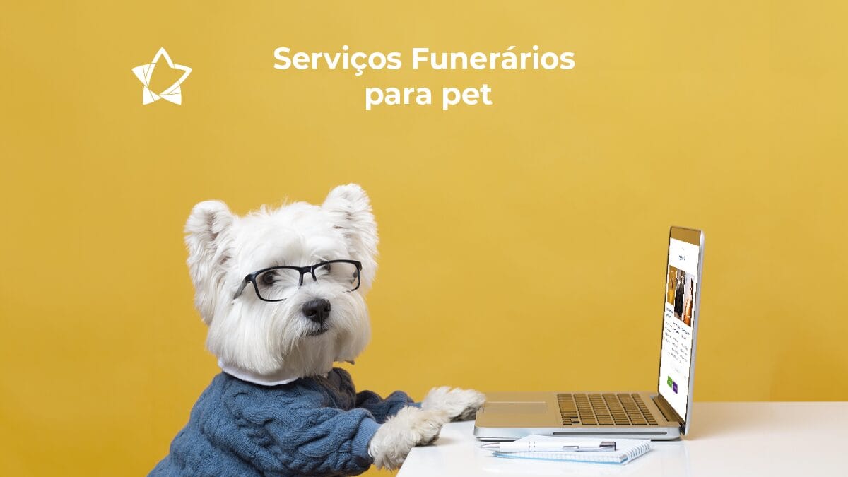 Serviços Funerários para Pet