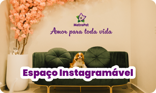 metropet_slide_espaco_instagramavel