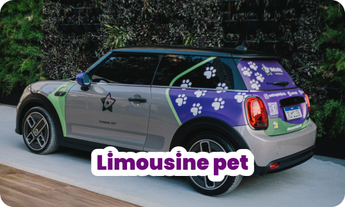 metropet_slide_limousine_pet
