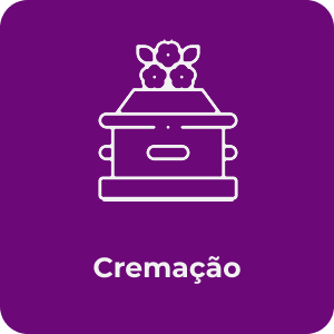 Cremação