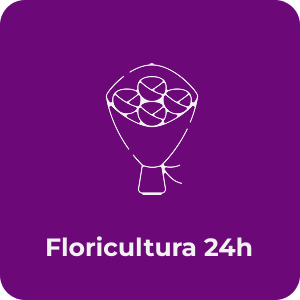 Floricultura 24h