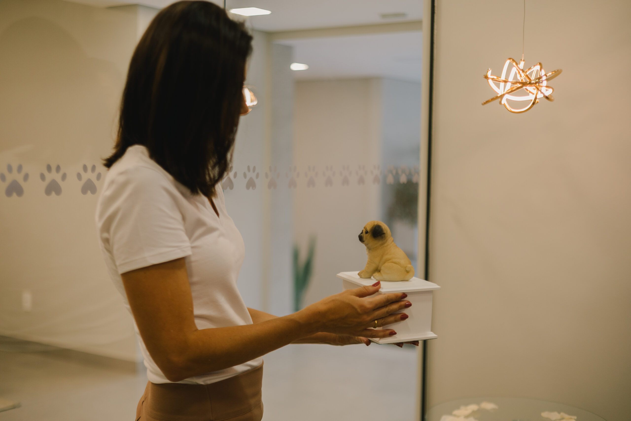 Despedida Pet: Guia para Cremação de Pets | MetroPet