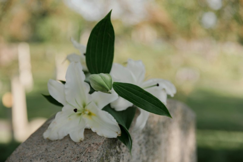 Serviço Funerário vs. Cemitério