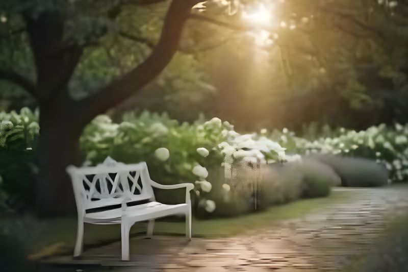 Cuidado na organização do Funeral