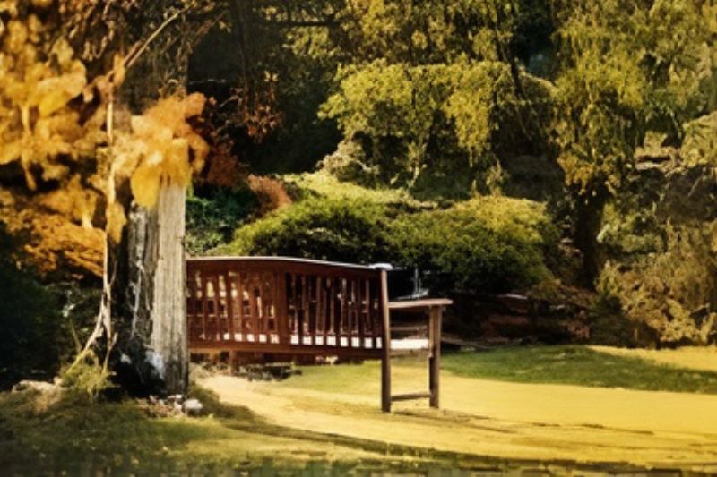 O que dizer (e o que não dizer) a uma pessoa enlutada