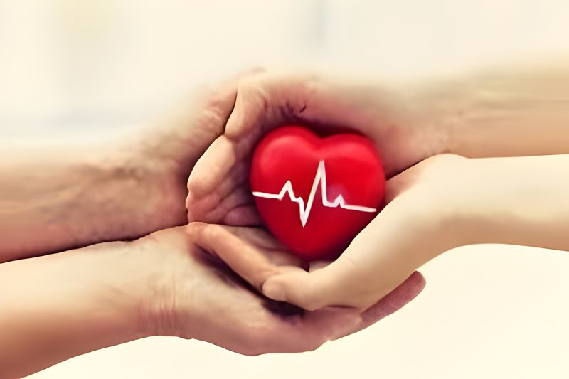 Como ser doador de órgãos: informação segura, orientação responsável e compromisso com a vida