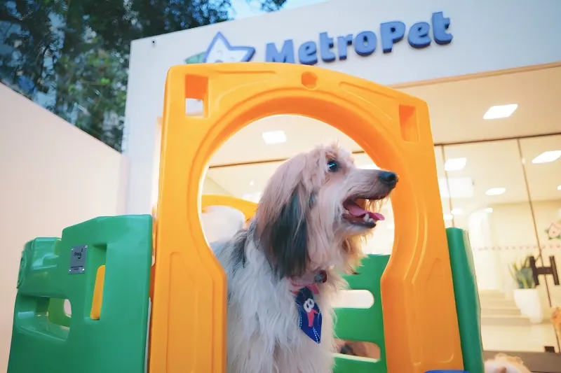 Metropet
