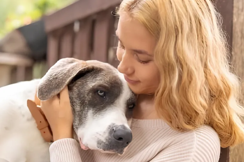Memórias que ficam: formas de homenagear seu pet com dignidade e afeto