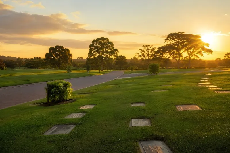 Sustentabilidade no setor funerário: como fazer escolhas conscientes no planejamento antecipado